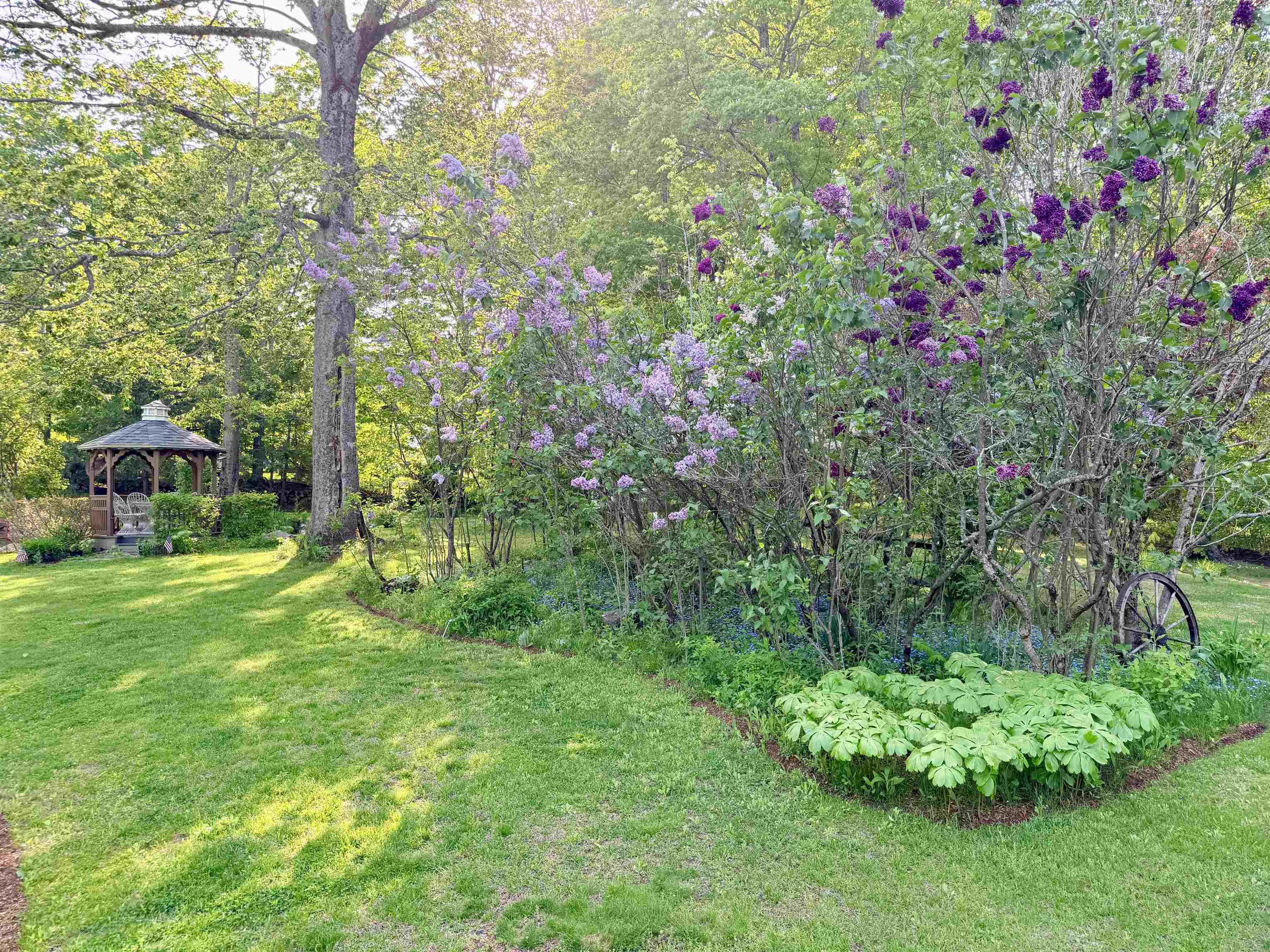 32 Sandown Road Danville, NH 03819 - Photo 50 of 54