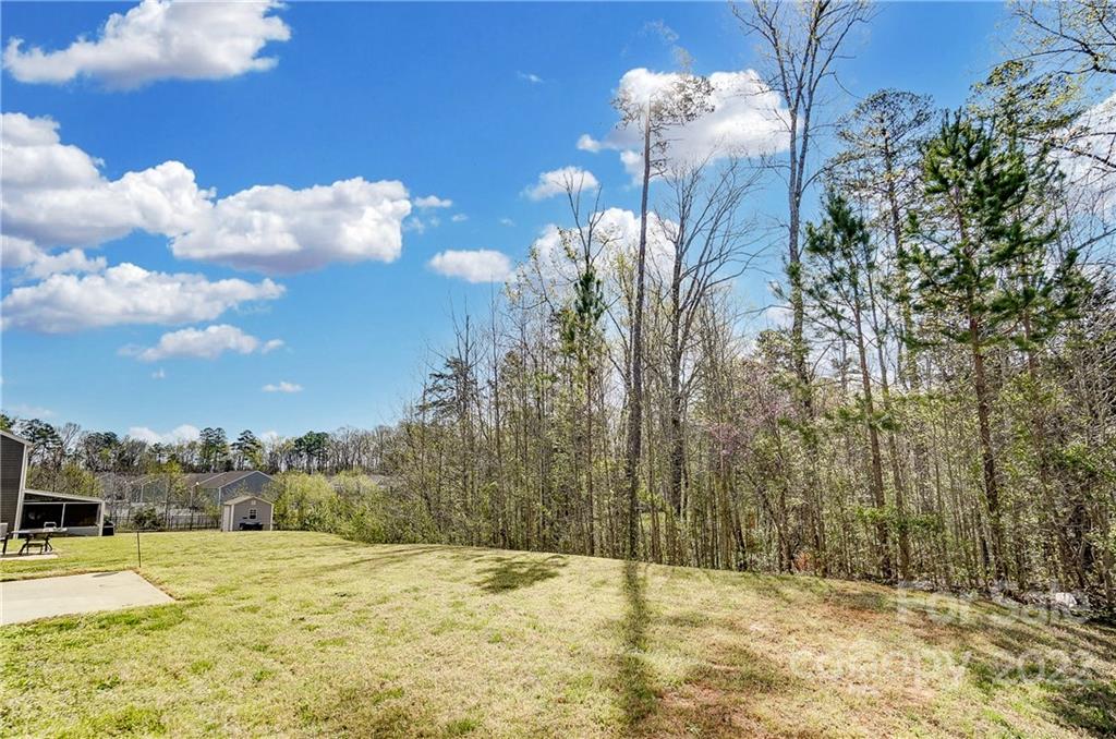 4715 McClure Road Charlotte, NC 28216 - Photo 35 of 36 a view of back yard of the house