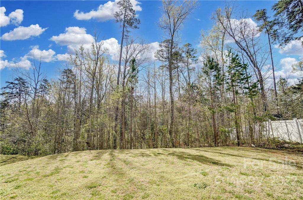 4715 McClure Road Charlotte, NC 28216 - Photo 36 of 36 a view of a yard with trees