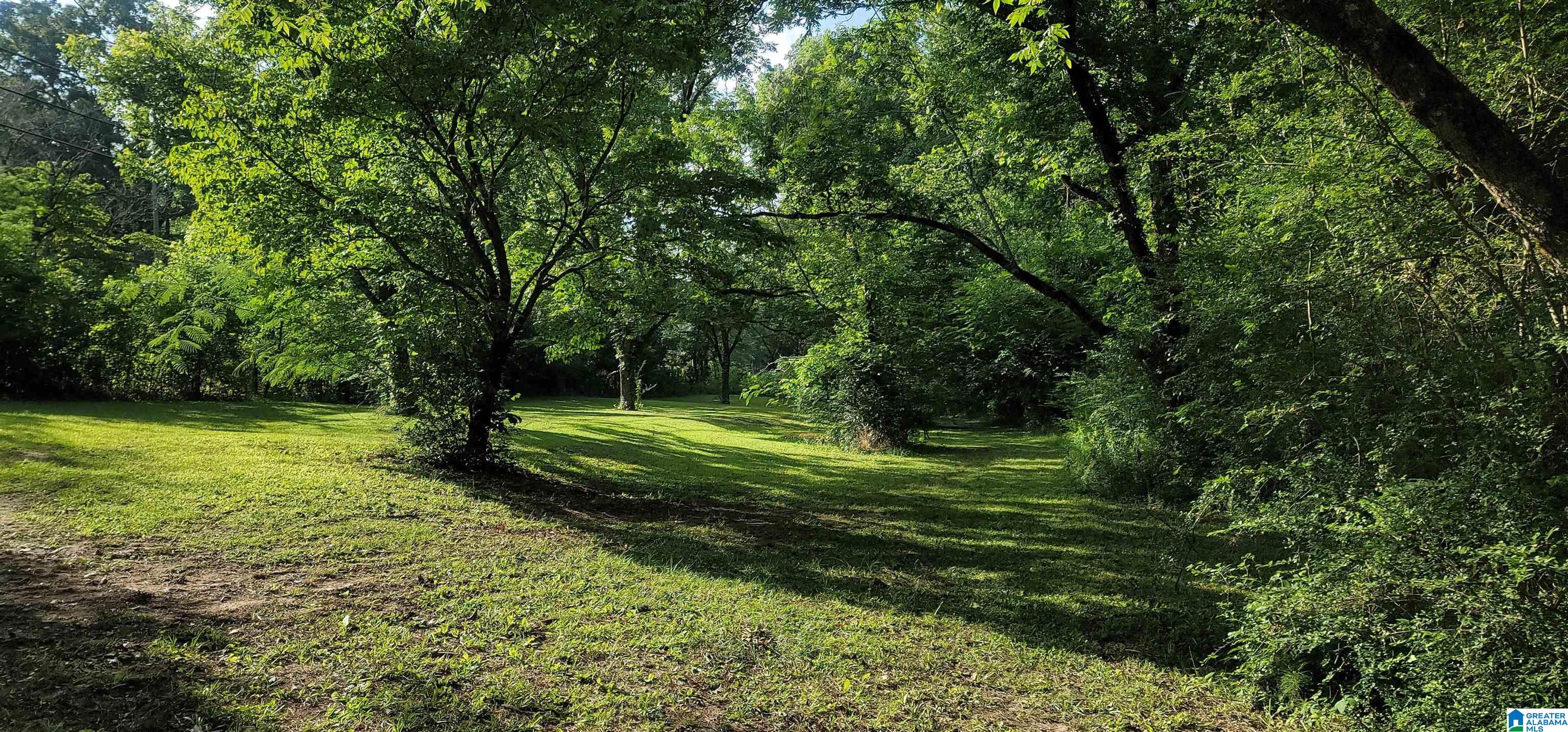911 Arkadelphia Road Warrior, AL 35180 - Photo 45 of 49