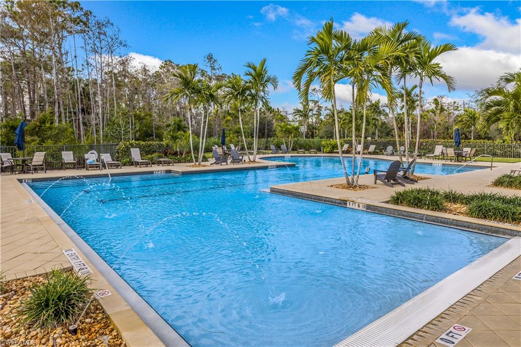 4605 Abaca Circle Naples, FL 34119 - Photo 34 of 35 a view of a swimming pool with a lawn chairs under palm trees