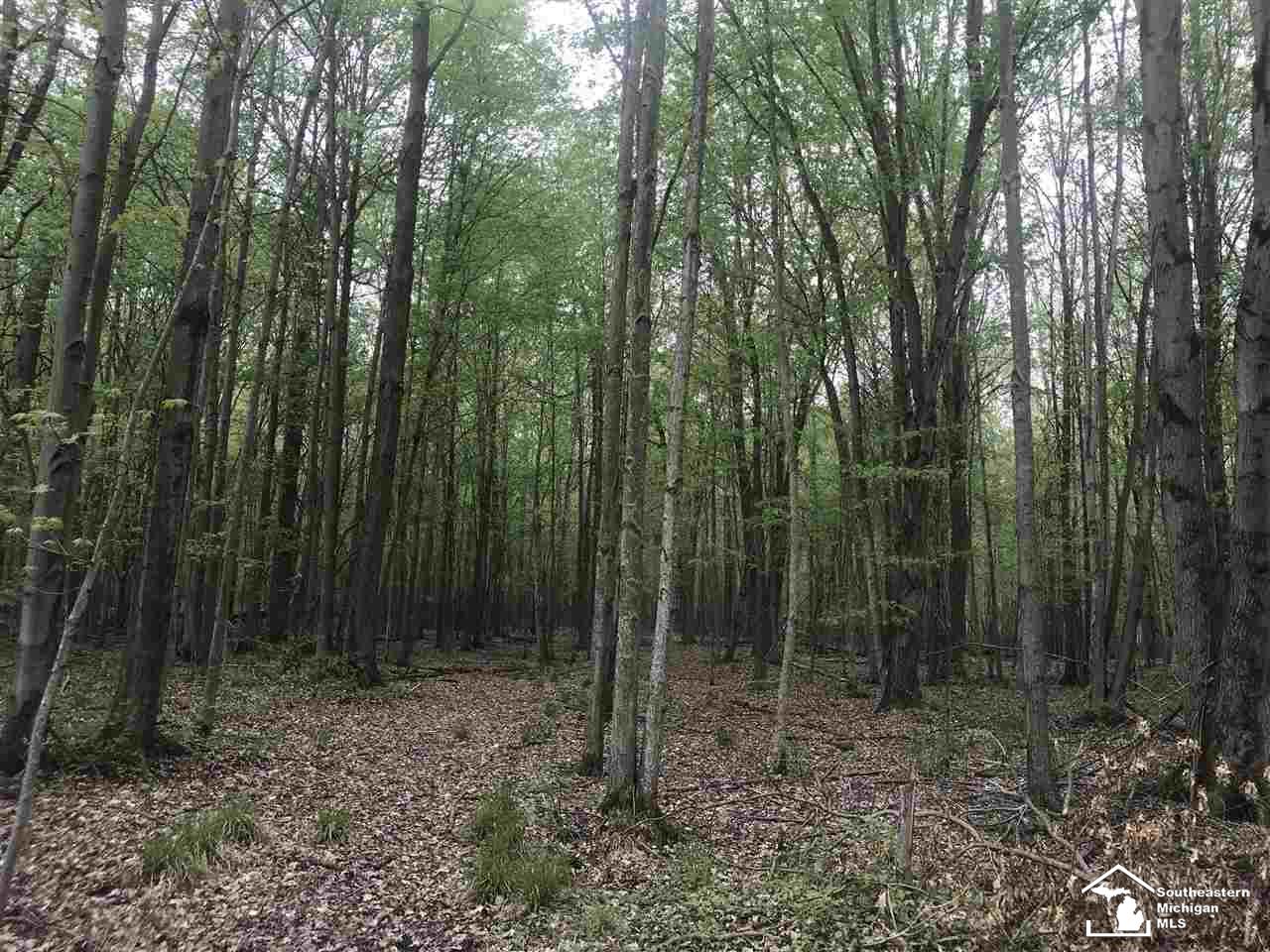 0 Bunton Road Milan, MI 48160 - Photo 18 of 22