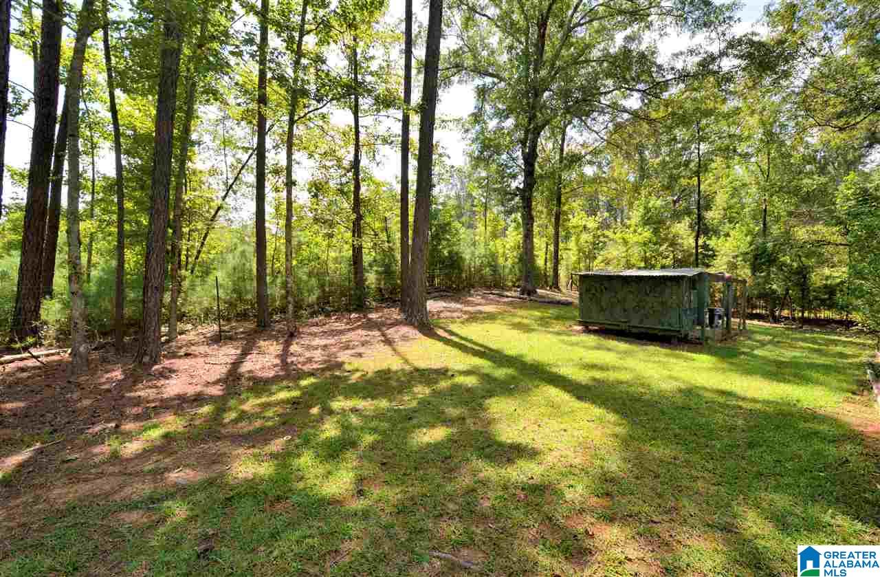 2086 Salem Road Montevallo, AL 35115 - Photo 39 of 47