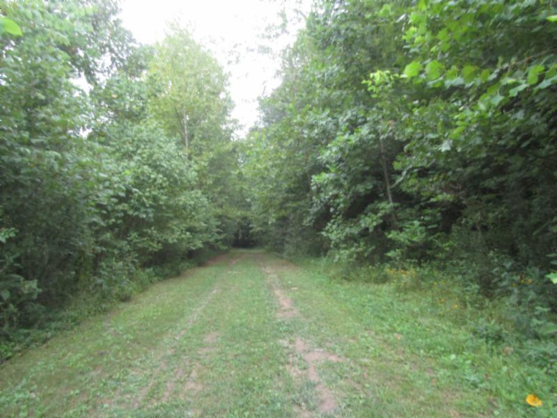 37.33-ac Modock Hollow Road Celina, TN 38551 - Photo 10 of 17 IMG_3716