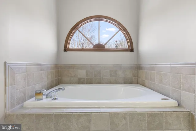 a view of a big yard with plants and large trees