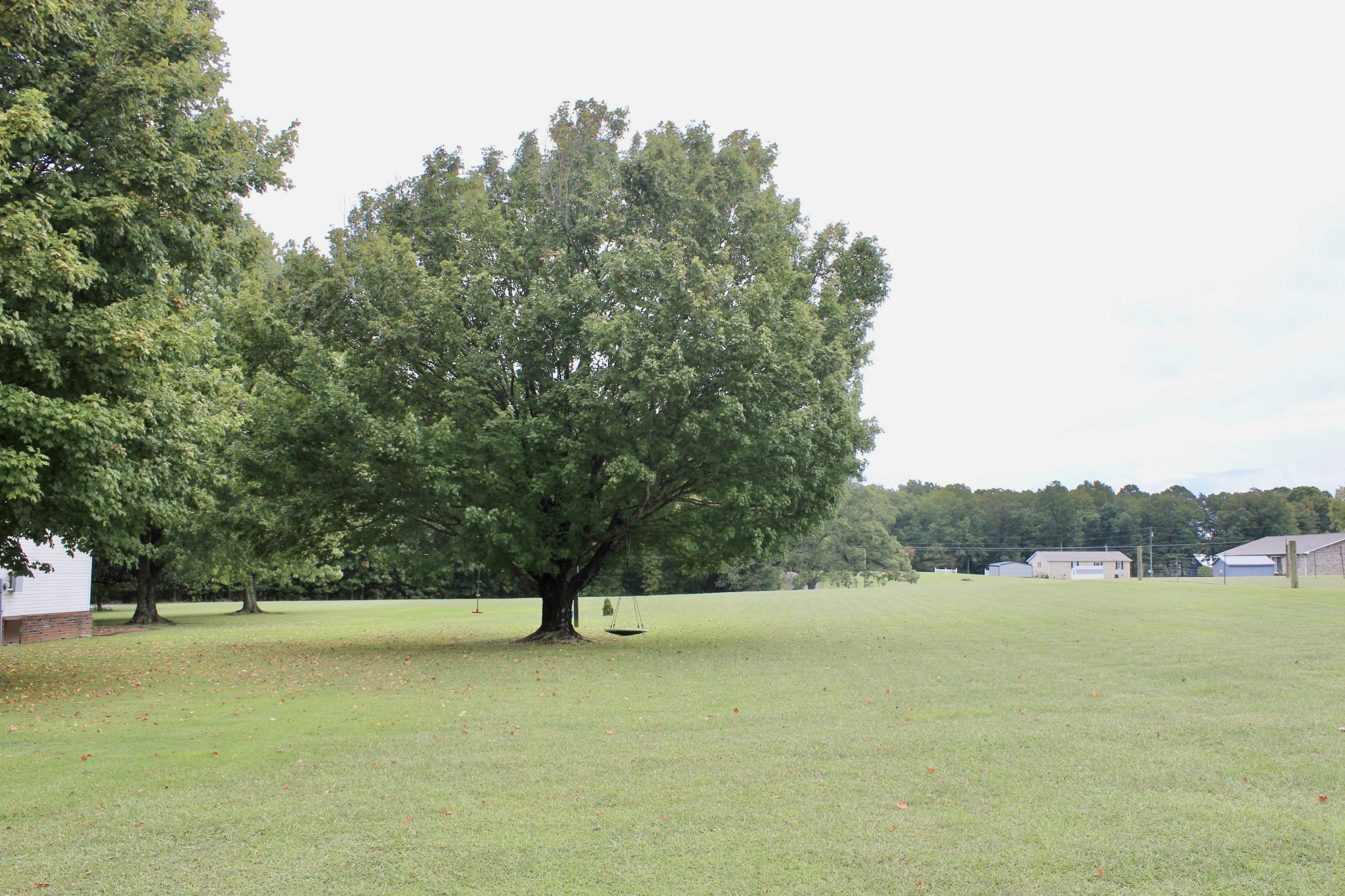 375 Nickajack Trail Monteagle, TN 37356 - Photo 15 of 34 a view of patio and yard