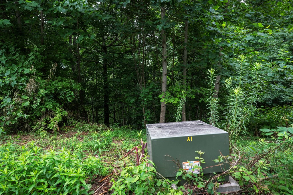 235 Rios Drive Bryson City, NC 28713 - Photo 19 of 29