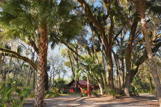 an aerial view of beach and ocean