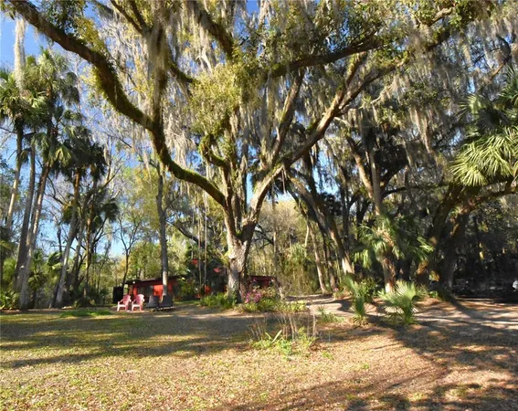 $300,000 | 1302 Southeast Wacahoota Road, Micanopy, FL 32667