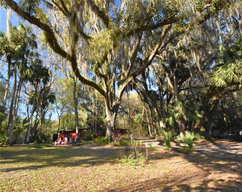 1302 Southeast Wacahoota Road Micanopy, FL 32667 - Photo 18 of 67 a view of a street with houses