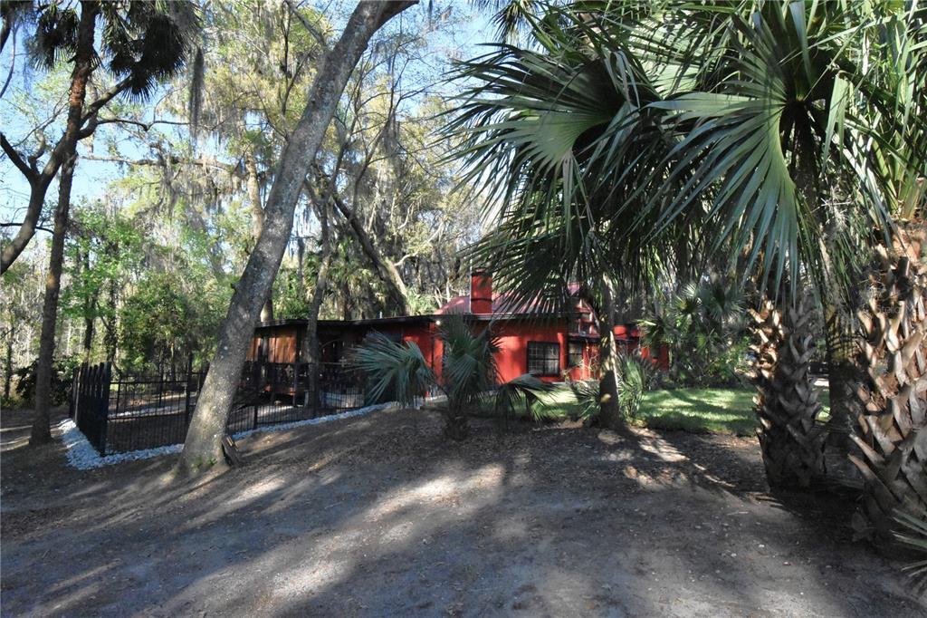 1302 Southeast Wacahoota Road Micanopy, FL 32667 - Photo 25 of 67 a view of street with tall trees