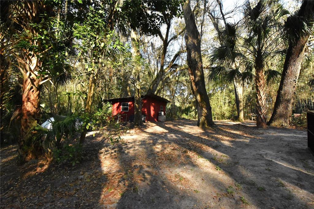 1302 Southeast Wacahoota Road Micanopy, FL 32667 - Photo 28 of 67 a view of a tree in front of a house