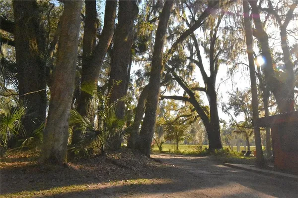 $300,000 | 1302 Southeast Wacahoota Road, Micanopy, FL 32667