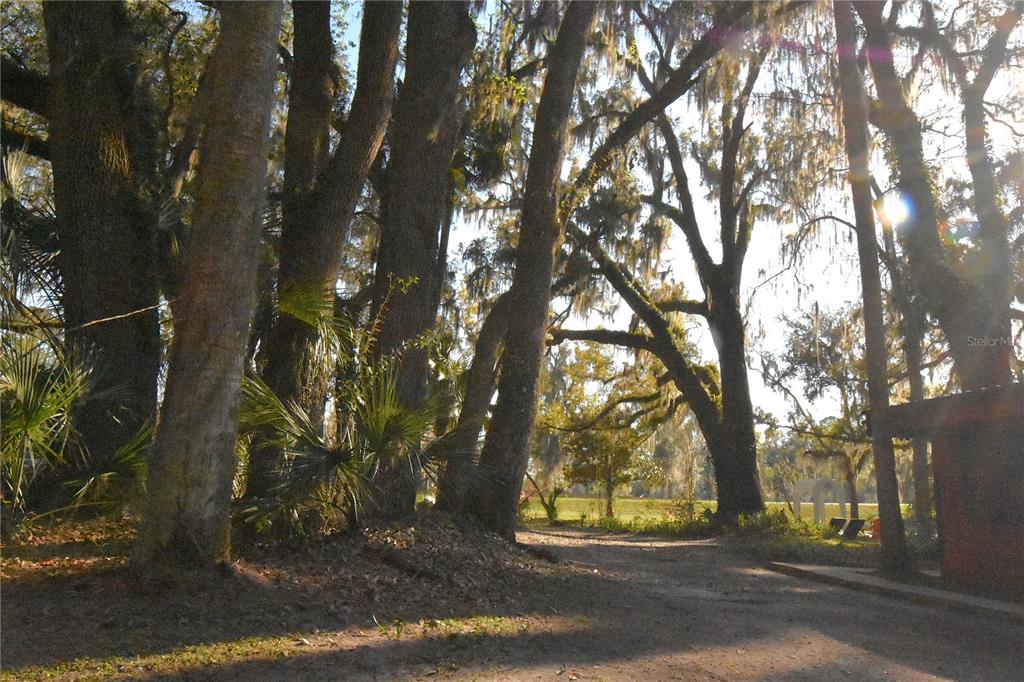 1302 Southeast Wacahoota Road Micanopy, FL 32667 - Photo 29 of 67