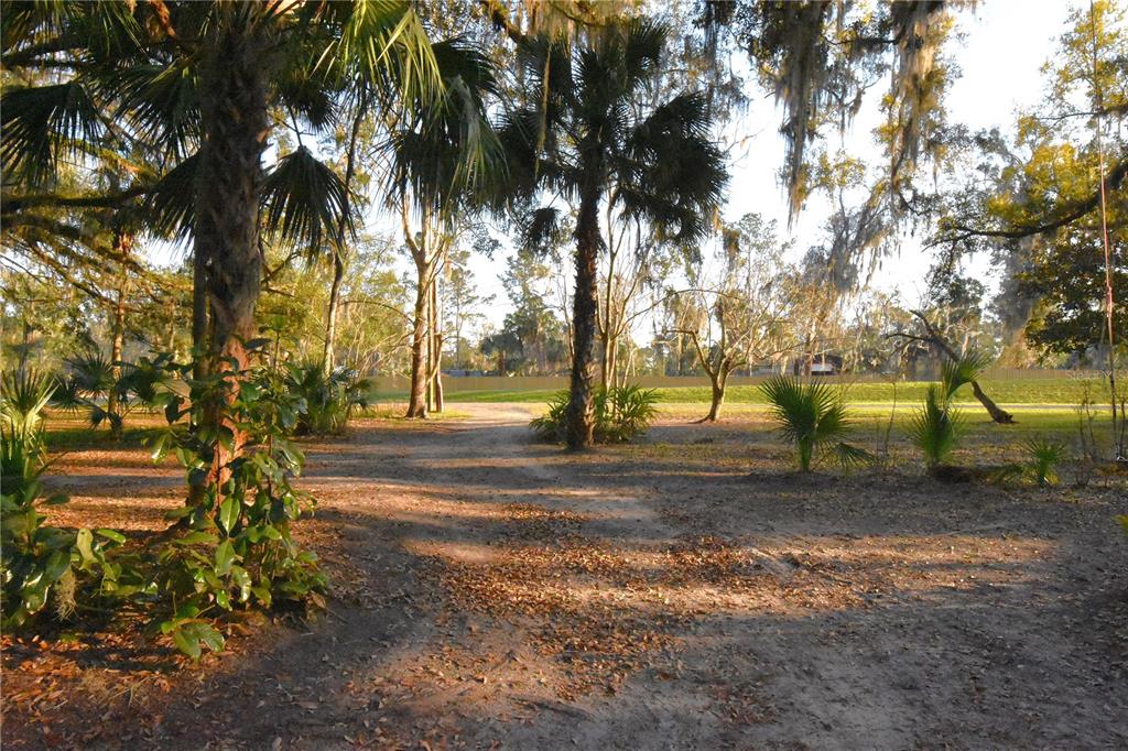 1302 Southeast Wacahoota Road Micanopy, FL 32667 - Photo 58 of 67 a view of park space