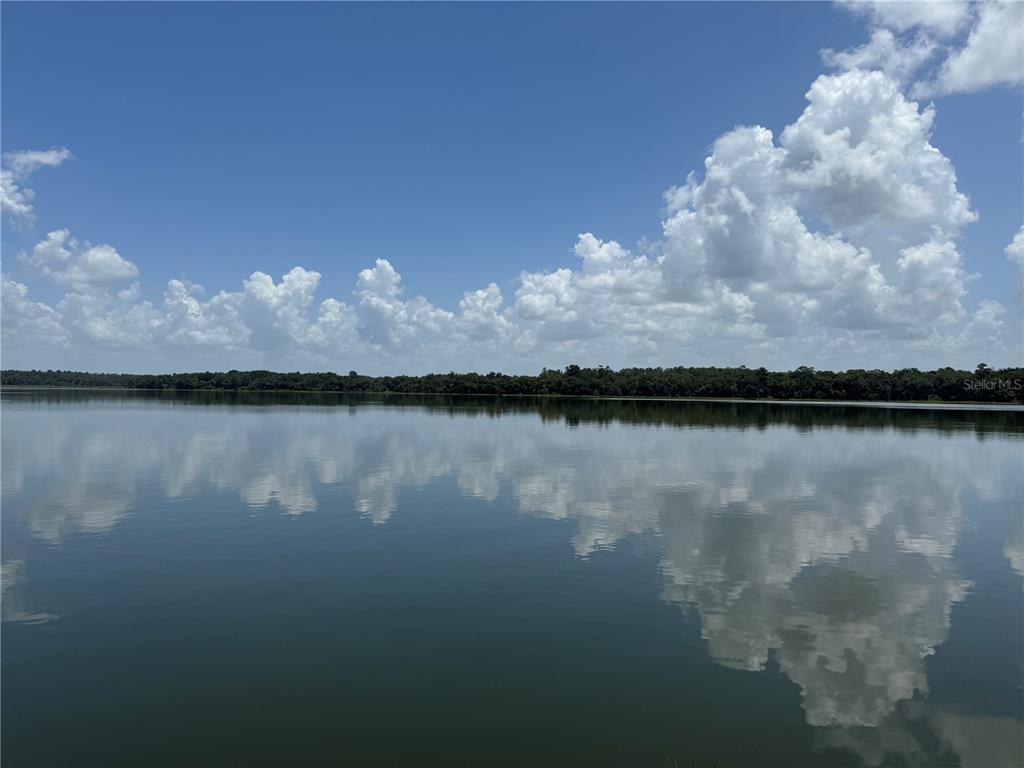 1302 Southeast Wacahoota Road Micanopy, FL 32667 - Photo 62 of 67 a view of swimming pool in middle of a lake