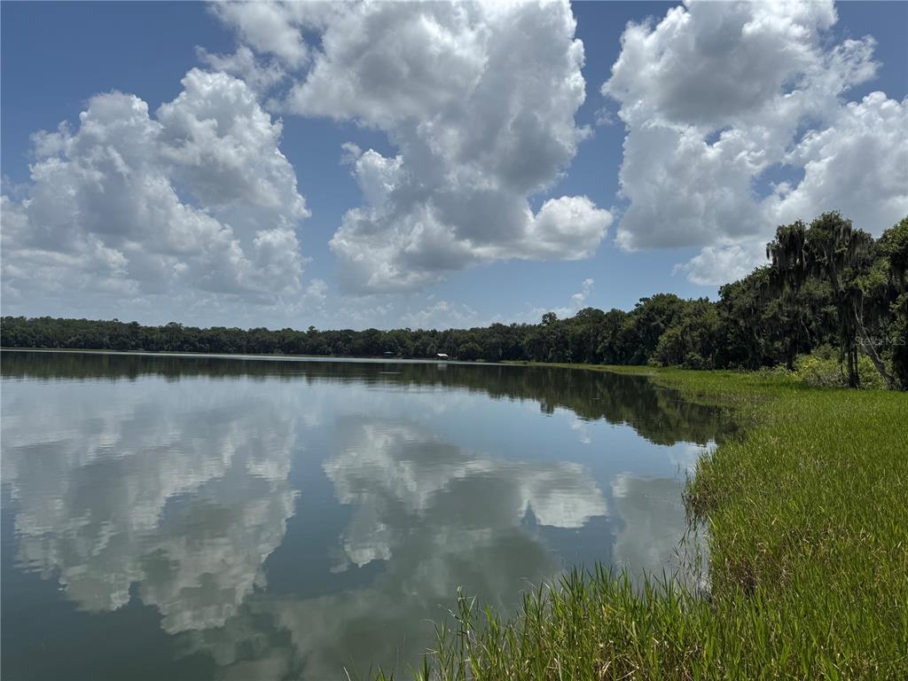 1302 Southeast Wacahoota Road Micanopy, FL 32667 - Photo 63 of 67