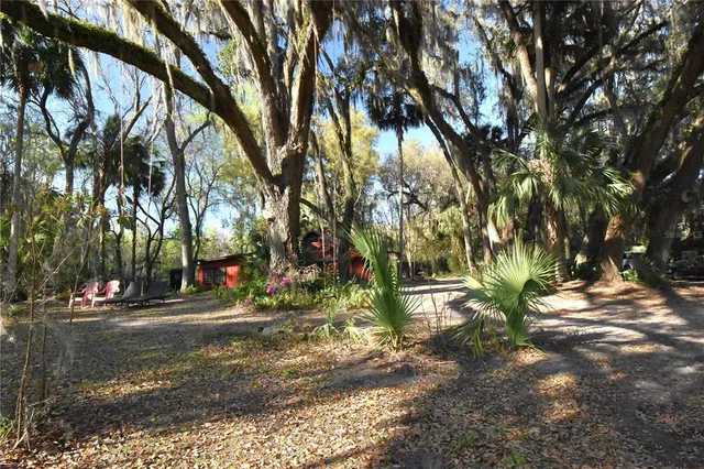 $300,000 | 1302 Southeast Wacahoota Road, Micanopy, FL 32667