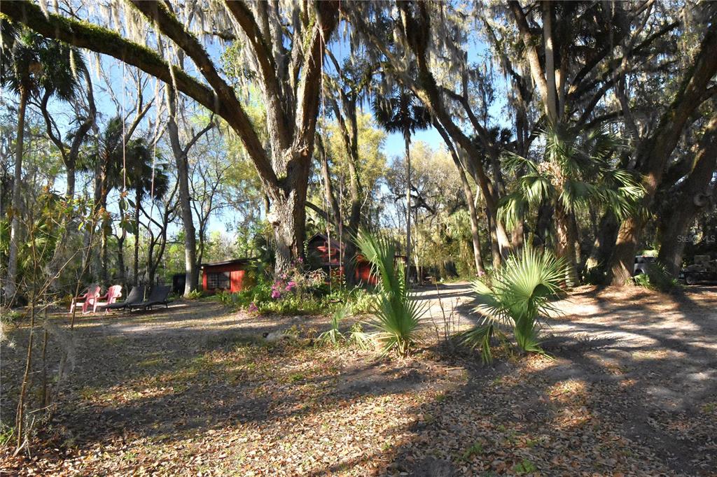 1302 Southeast Wacahoota Road Micanopy, FL 32667 - Photo 65 of 67 a view of road and trees