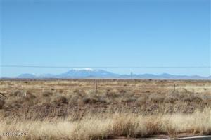 4287 State Route 99 Leuppx, AZ 86035 - Photo 1 of 5 a view of an ocean