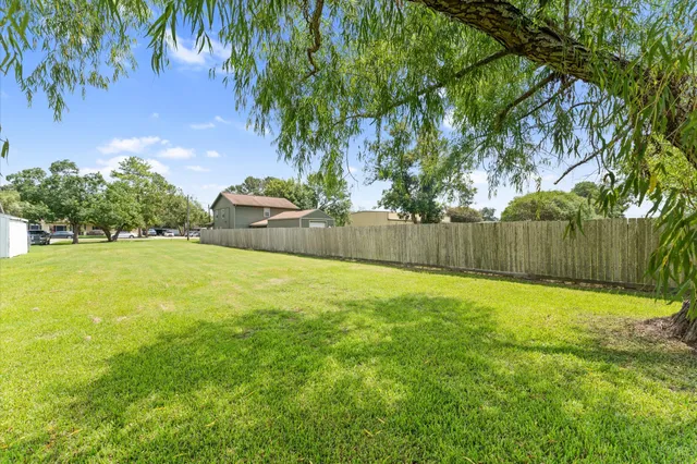 a view of a yard with a tree