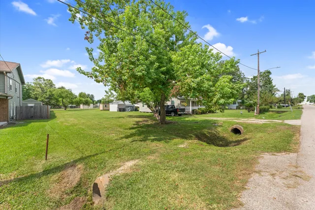 a view of a park with large trees