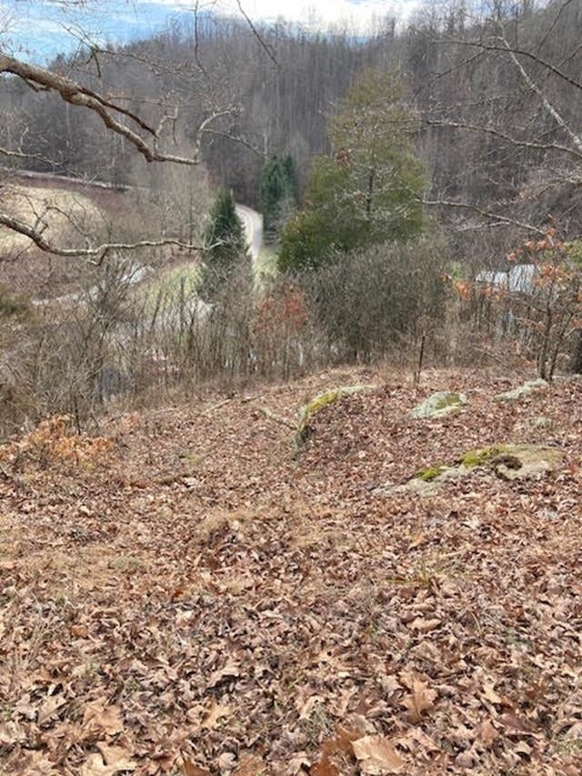 2645 Lower Creek Road Milton, WV 25541 - Photo 28 of 32 Gallery Image 28