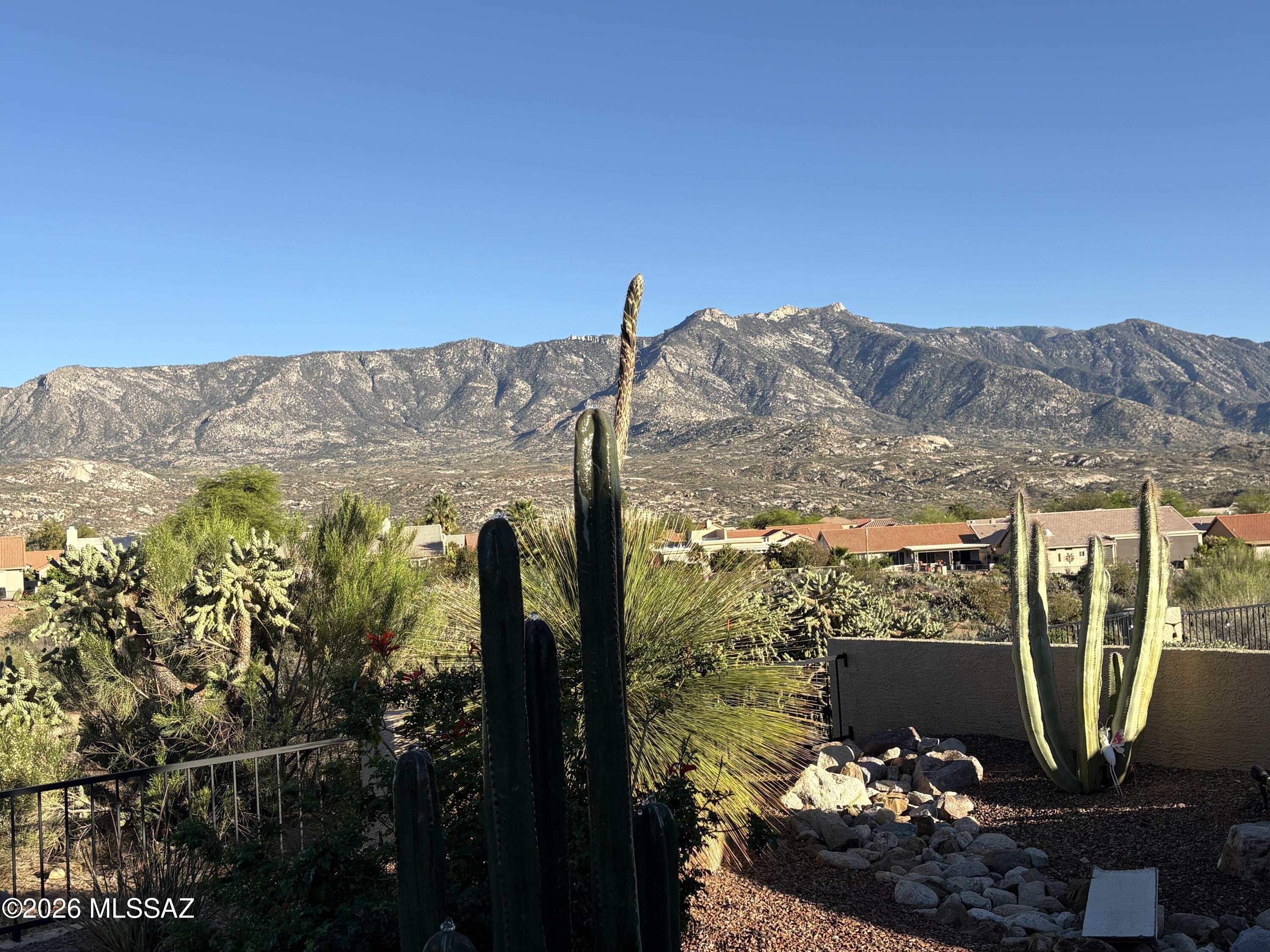 38085 South Stone Ridge Court Tucson, AZ 85739 - Photo 6 of 9