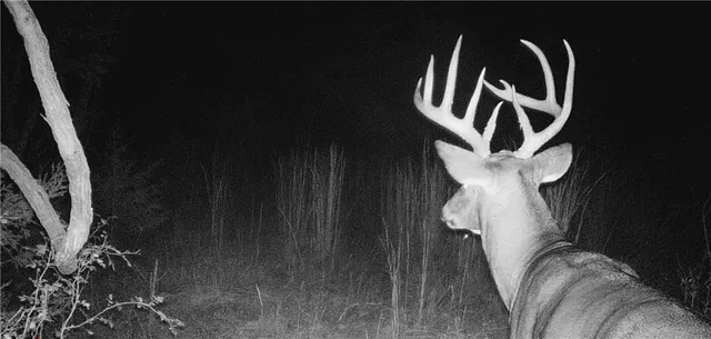 $630,000 | 37690 Highway 169, Osawatomie, KS 66064