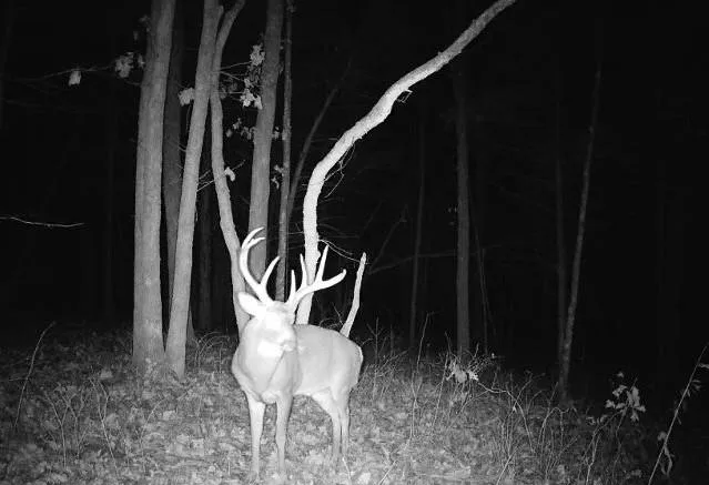 $630,000 | 37690 Highway 169, Osawatomie, KS 66064