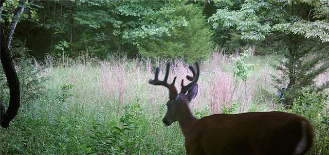 $630,000 | 37690 Highway 169, Osawatomie, KS 66064