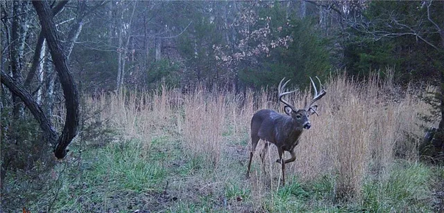 $630,000 | 37690 Highway 169, Osawatomie, KS 66064