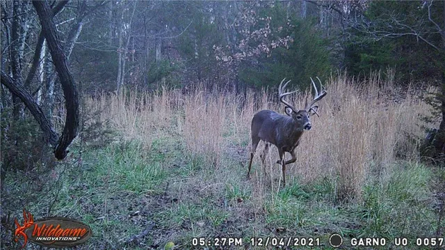 $630,000 | 37690 Highway 169, Osawatomie, KS 66064