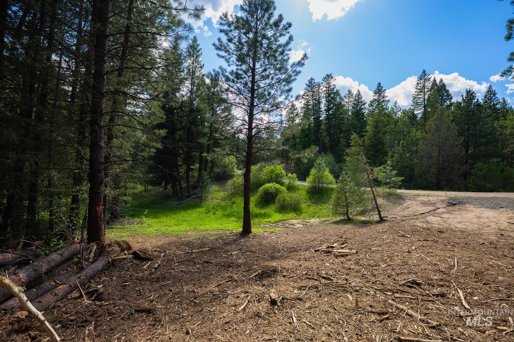 Lot 51 Price Loop Cascade, ID 83611 - Photo 8 of 26