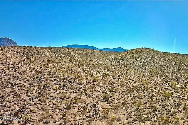 a view of a large building with a mountain in the background