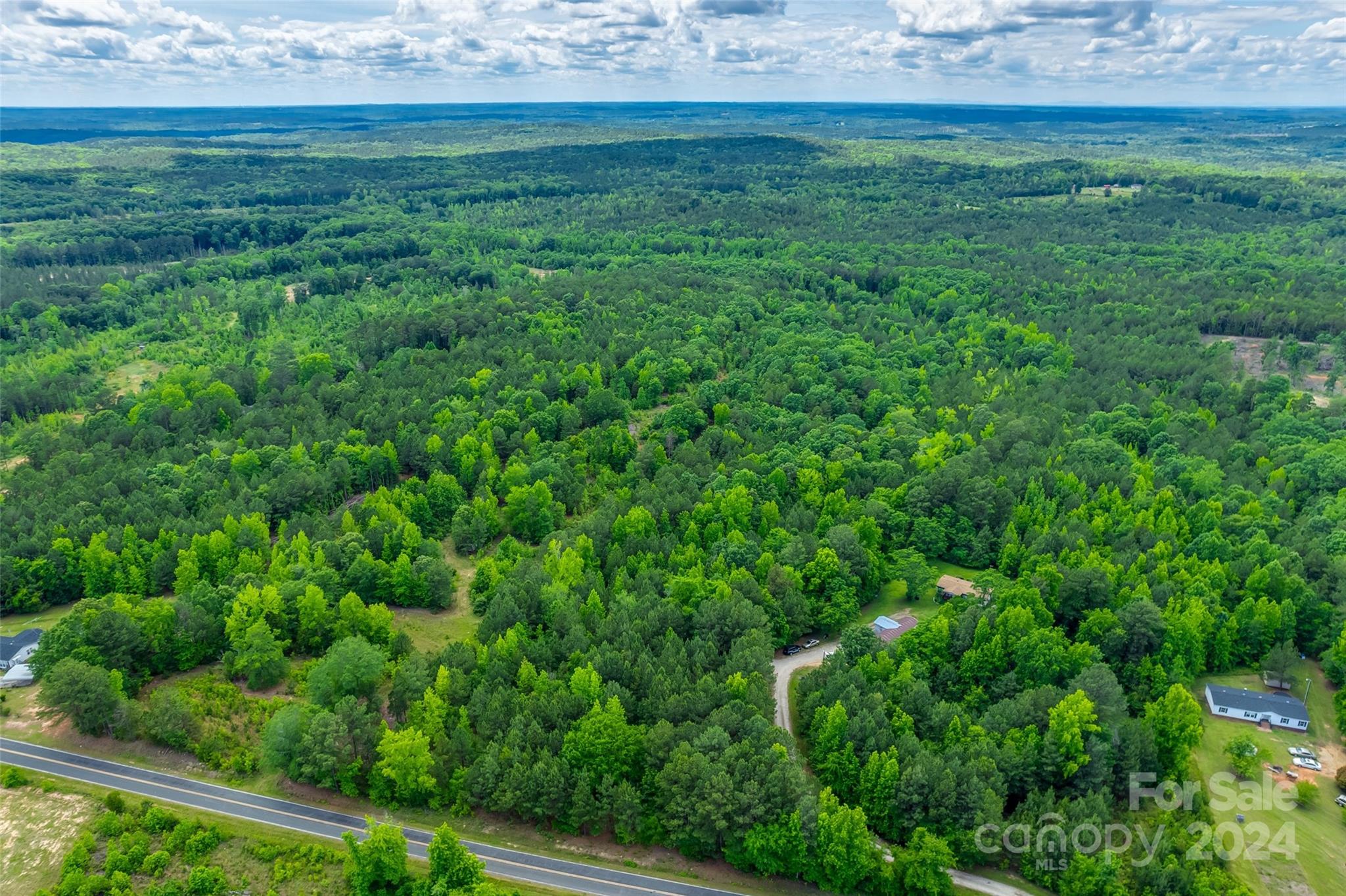 0 Woods Ferry Road Carlisle, SC 29031 - Photo 4 of 10