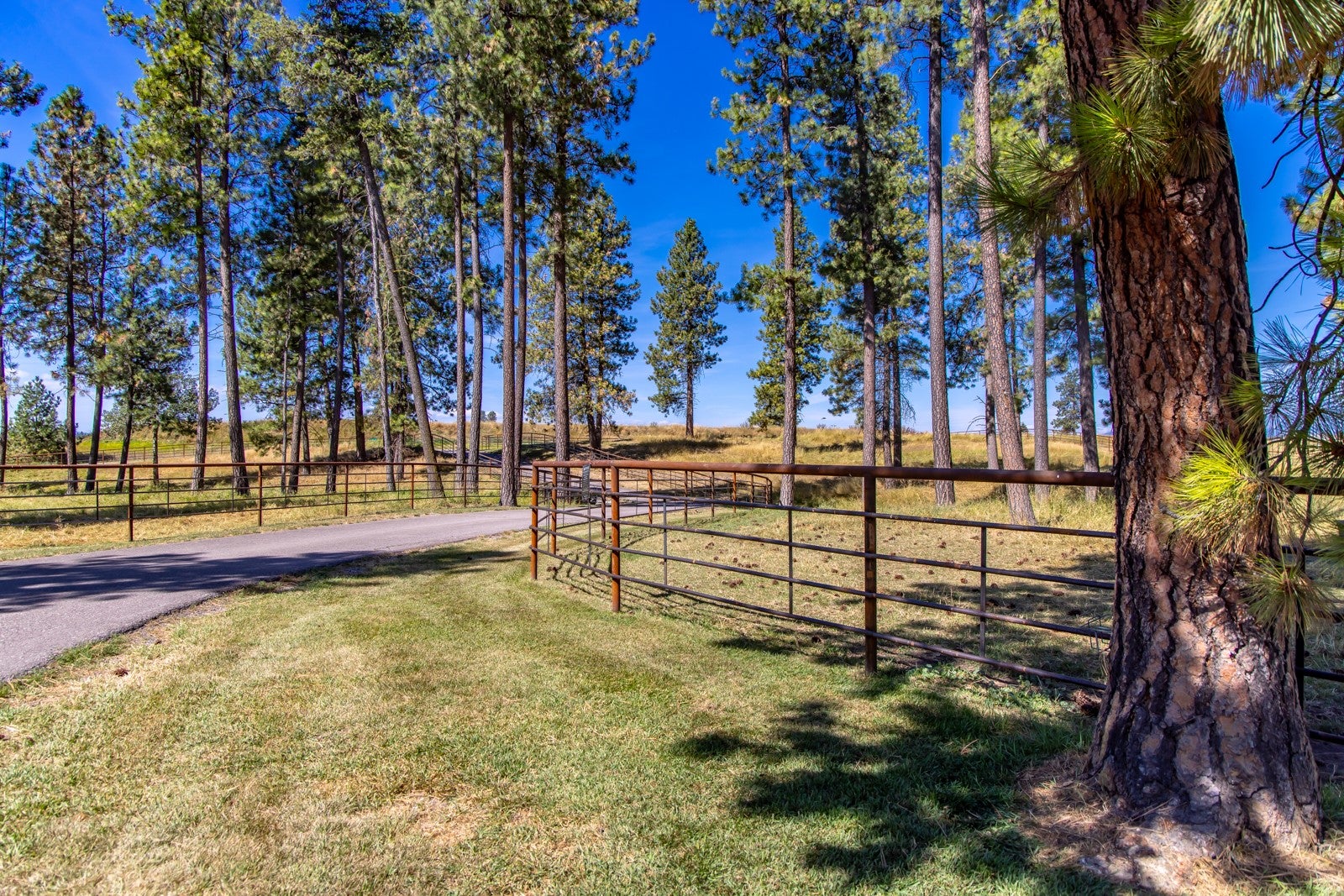 500 Rodeo Drive Columbia Falls, MT 59912 - Photo 96 of 183 Gallery Image 96