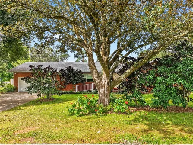 a view of a garden with a tree