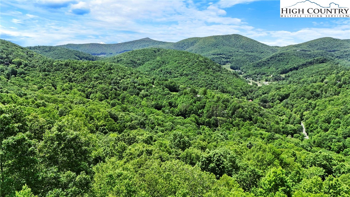 T-1 Grace Mountain Road Todd, NC 28684 - Photo 22 of 28 a view of a green field with lots of bushes