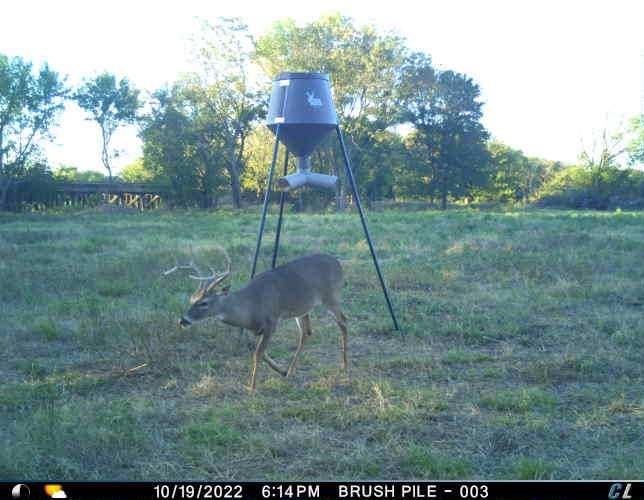 3061 Turkey Creek Road Sunset, TX 76270 - Photo 23 of 31 a backyard of a house with lots of green space