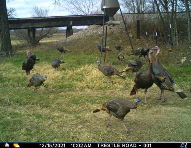 3061 Turkey Creek Road Sunset, TX 76270 - Photo 24 of 31 a view of outdoor space