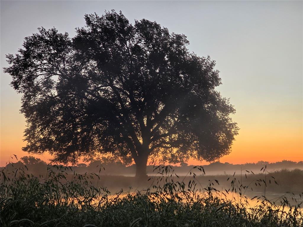 3061 Turkey Creek Road Sunset, TX 76270 - Photo 31 of 31 a view of mountain view with lots of tree