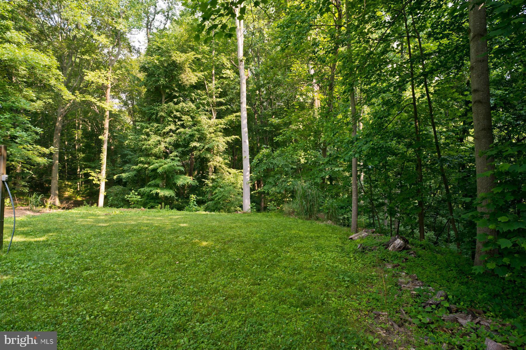 810 Rustic Lane Lothian, MD 20711 - Photo 25 of 27 Exterior (Rear)