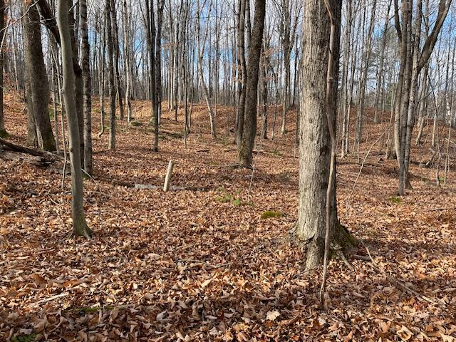 0 South Whitman School Road Buckfield, ME 04220 - Photo 6 of 12 IMG_3690 (2)