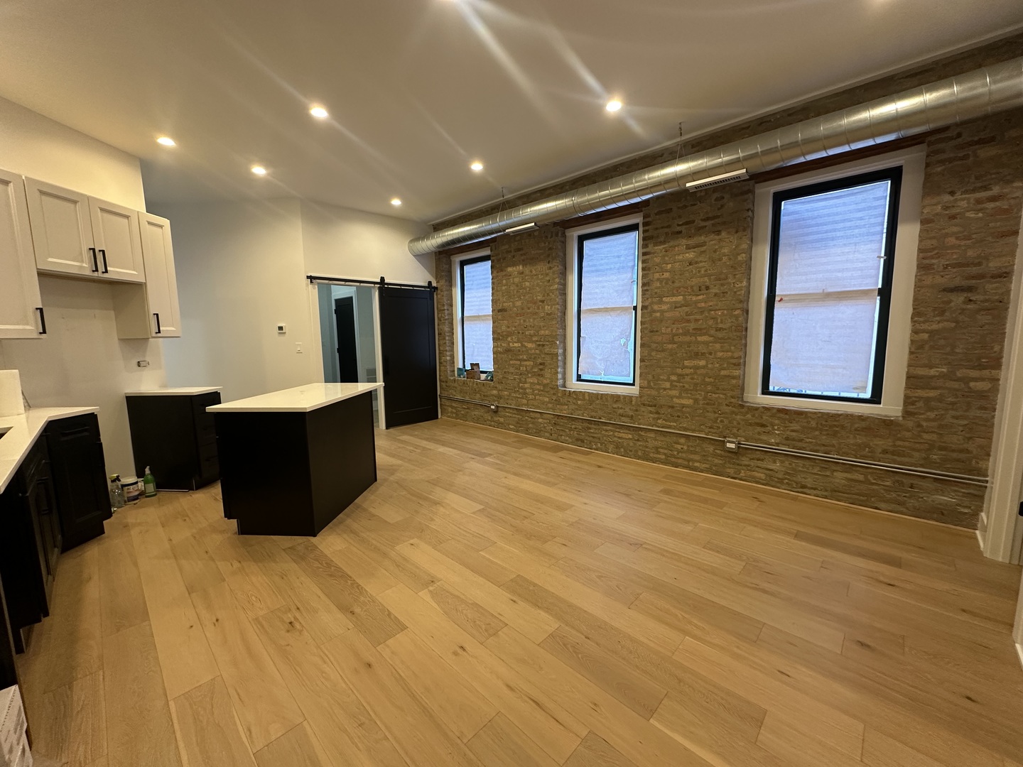 1117 West Fry Street, Unit 2 Chicago, IL 60642 - Photo 3 of 16