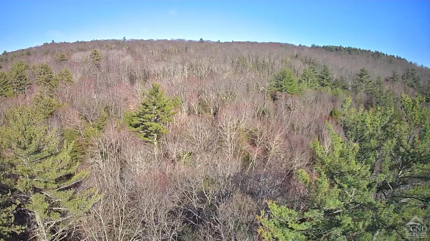 46 Pine Grove Road Kerhonkson, NY 12446 - Photo 14 of 22 a view of a dry field with trees in the background
