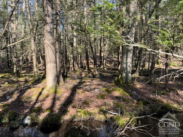 46 Pine Grove Road Kerhonkson, NY 12446 - Photo 17 of 22 a view of yard