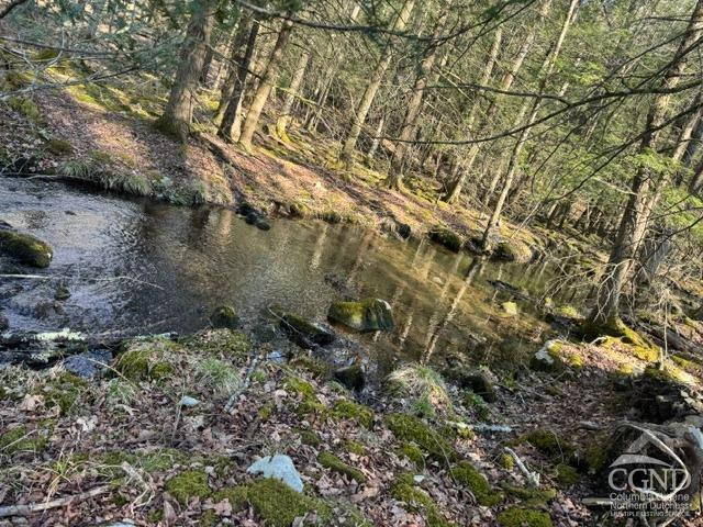46 Pine Grove Road Kerhonkson, NY 12446 - Photo 18 of 22 a view of a yard with a tree