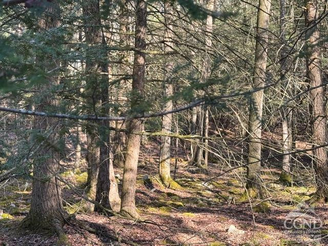 46 Pine Grove Road Kerhonkson, NY 12446 - Photo 19 of 22