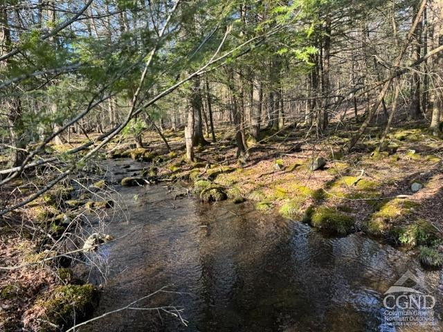 46 Pine Grove Road Kerhonkson, NY 12446 - Photo 20 of 22 a view of lake view